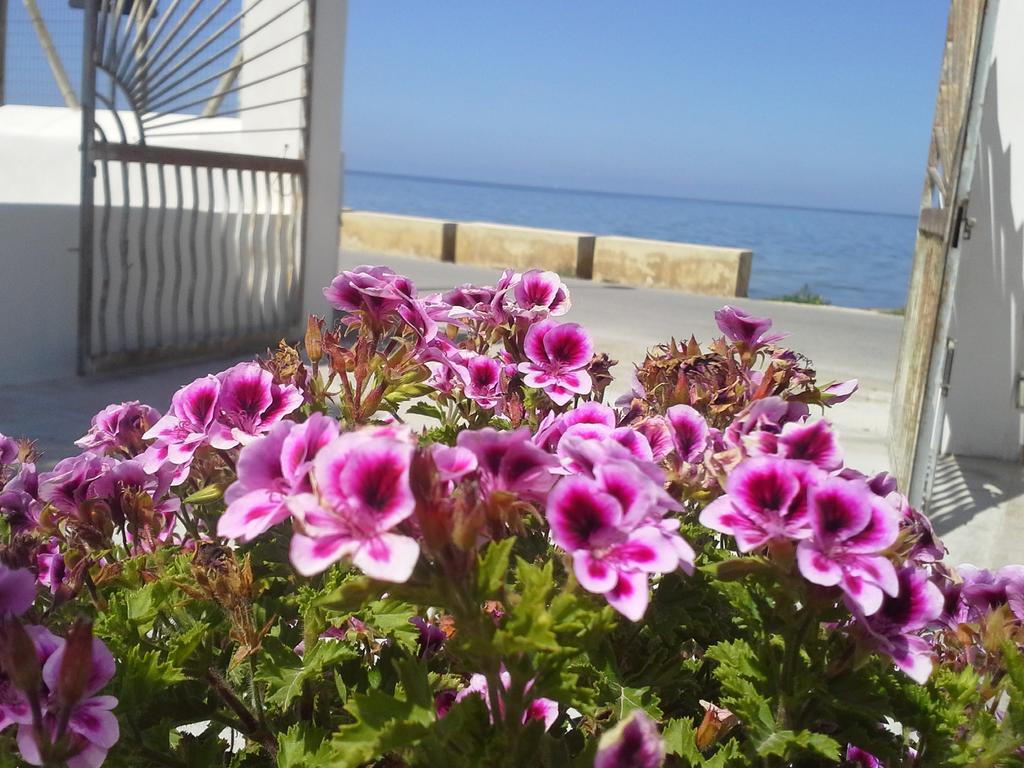 Bed and Breakfast Sunrise Stagnone - Kitesurf Spot Marsala Pokoj fotografie